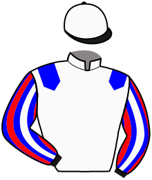 Casaque du n°1 — LOUP D'ERPION