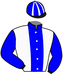 Casaque du n°2 — LUBERON