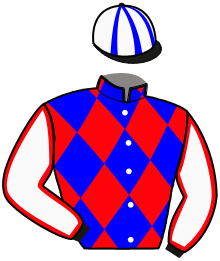 Casaque du n°6 — JUDOPOCK