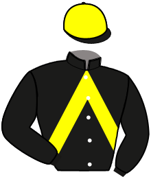 Casaque du n°7 — IPSO D'AVIGNERE