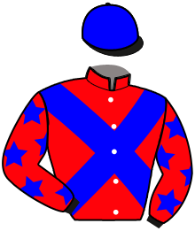 Casaque du n°1 — MARNAON VINGUY