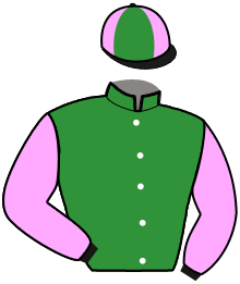 Casaque du n°4 — MISTER MARTIN
