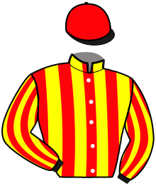 Casaque du n°7 — MODEL DE JOUX