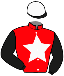 Casaque du n°1 — NATRICIA