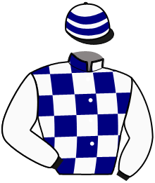 Casaque du n°10 — NOVA CASTELLE