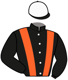 Casaque du n°6 — NARVIK VLETERHOF