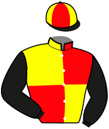 Casaque du n°1 — JULIANO DE GLANE