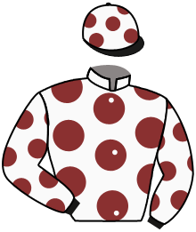 Casaque du n°1 — GINA'S LION