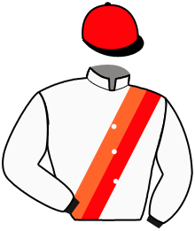 Casaque du n°11 — SHARYAR
