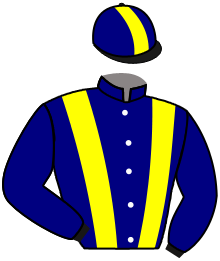 Casaque du n°3 — STATHAM