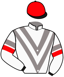 Casaque du n°9 — LIEUTENANT PLAYER
