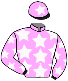 Casaque du n°4 — HERICOURT