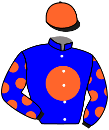 Casaque du n°3 — MUELHEIMER