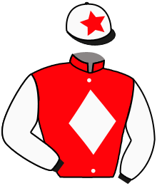 Casaque du n°1 — ANCHOR ROAD