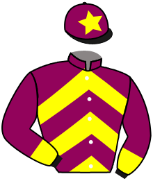 Casaque du n°4 — NYRA