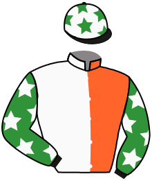 Casaque du n°10 — SIR LES PATTERSON
