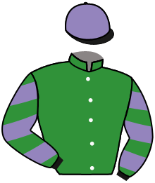 Casaque du n°14 — MOLTOPHINO