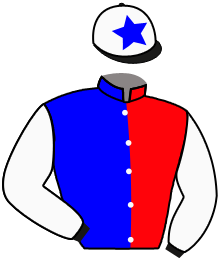 Casaque du n°15 — ORO BLANCO