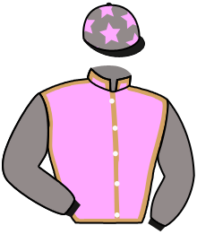 Casaque du n°17 — GAVOO