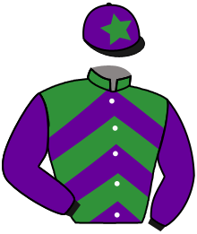 Casaque du n°2 — CELERON