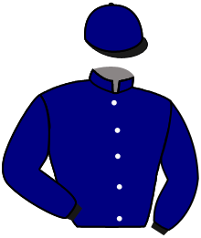 Casaque du n°1 — AMELIA EARHART