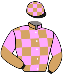 Casaque du n°4 — LAMAR CANYON