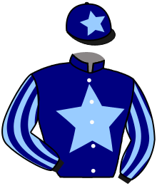 Casaque du n°4 — BICHOKO