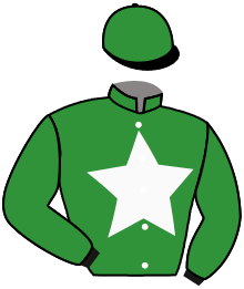 Casaque du n°7 — THE BROTHER