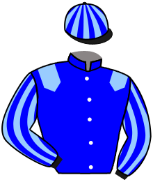 Casaque du n°1 — ROYAL RIZZI