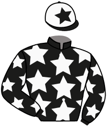 Casaque du n°4 — RENOUVEAU
