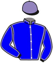 Casaque du n°10 — MONT STEELE