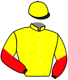 Casaque du n°12 — MASTER LIGHT