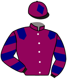 Casaque du n°5 — SINGEL MALT