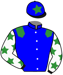 Casaque du n°12 — MILORD DU LEMO