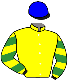 Casaque du n°2 — MISTER POWER