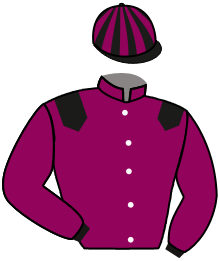 Casaque du n°4 — ZAEL