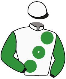 Casaque du n°13 — POKROV