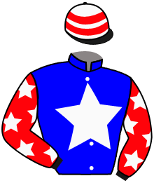 Casaque du n°3 — POLNOR