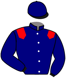 Casaque du n°1 — GRAND CHELEM
