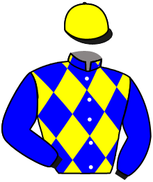Casaque du n°11 — TWARAB