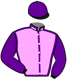 Casaque du n°2 — CHEVALDOR
