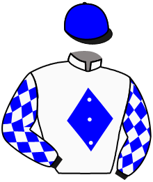 Casaque du n°3 — TYSON