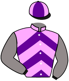 Casaque du n°5 — ALKIDAN