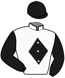 Casaque du n°14 — MICH D'OCCAGNES