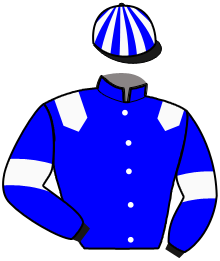 Casaque du n°10 — MERRY RIVER