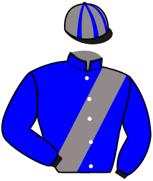 Casaque du n°2 — MELICIANA
