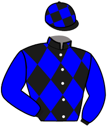 Casaque du n°9 — MARAVIGLIA