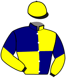 Casaque du n°2 — JANGO BLEU