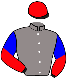 Casaque du n°4 — JACKSON D'ECAJEUL
