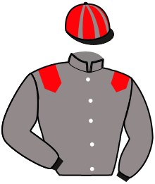 Casaque du n°8 — JULEJACQ